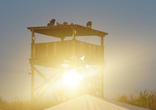 Aurora at CCCamp '19